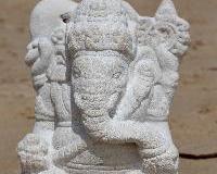 elephant-ayurveda